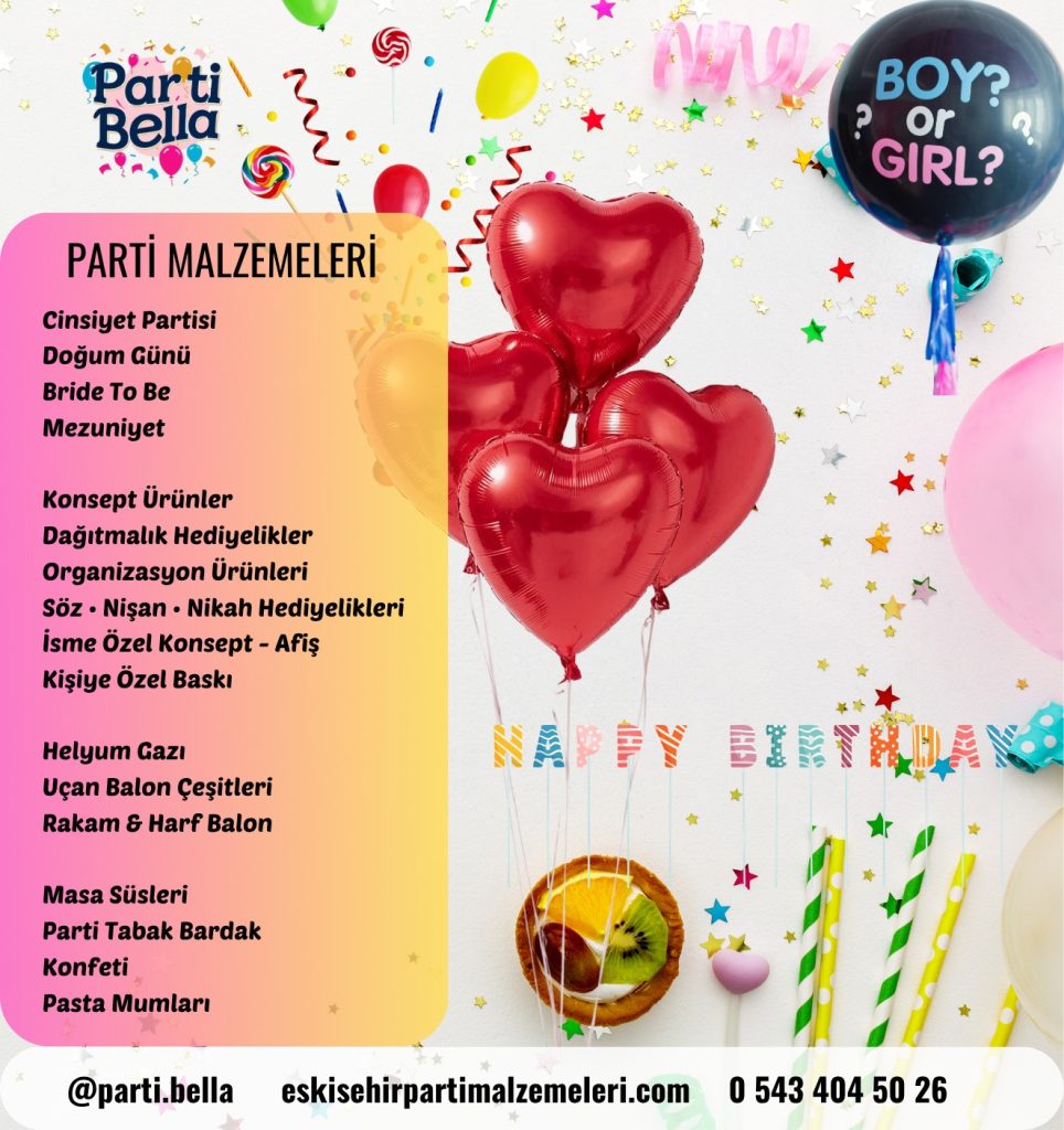 Parti organizasyonu